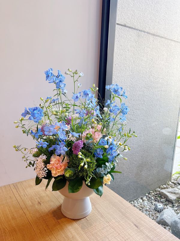 鮮花盆花 - 飛燕(冬春限定) 台中花店,花藝,乾燥花,鮮花,永生花,求婚花束,情人節花束,母親節花束,開幕花禮,高架花籃