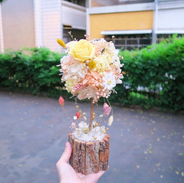 發財小花樹 /盆花 適合開幕升遷 台中花店,花藝,乾燥花,鮮花,永生花,求婚花束,情人節花束,母親節花束,開幕花禮,高架花籃