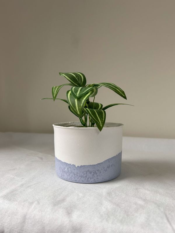 圓形A 手作,水泥,盆器,植栽,多肉,植物,觀葉,塊根,蕨類,盆栽,居家裝飾,水泥盆器