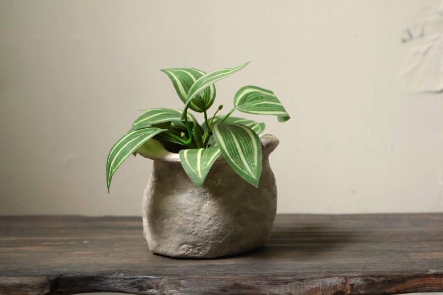 大地系列 斑駁灰咖福袋 手作,水泥,盆器,植栽,多肉,植物,盆栽,居家裝飾,水泥盆器