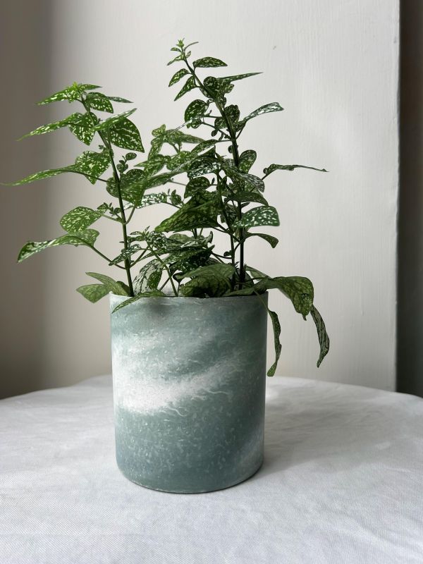 圓形D 手作,水泥,盆器,植栽,多肉,植物,觀葉,塊根,蕨類,盆栽,居家裝飾