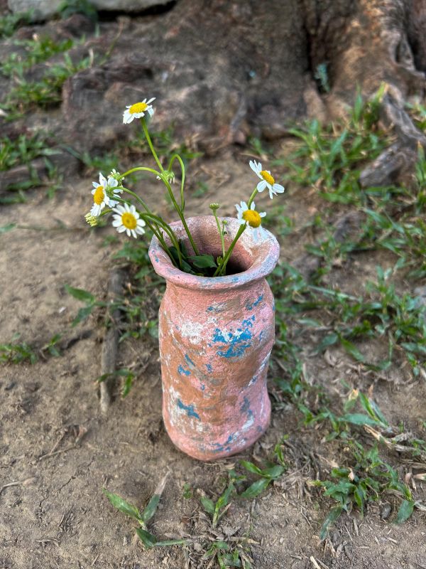 夕陽之海牛奶瓶 水泥,花器,花,鮮花,花瓶
