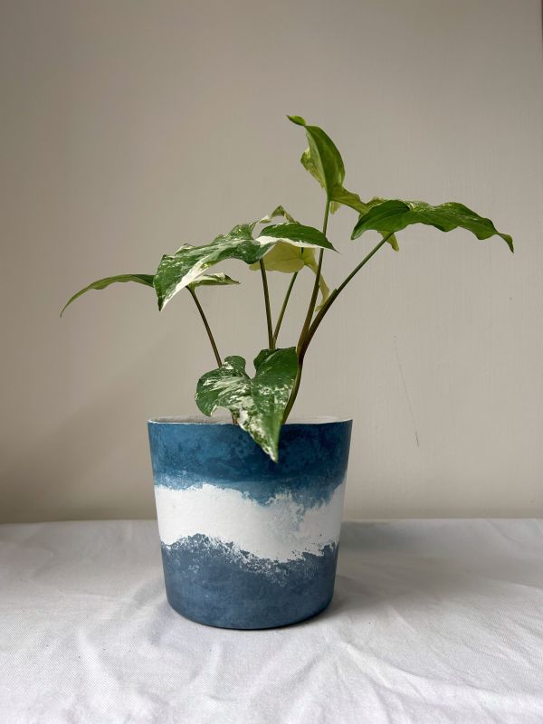 梯形圓 (5吋) 手作,水泥,盆器,植栽,多肉,植物,觀葉,塊根,蕨類,盆栽,居家裝飾