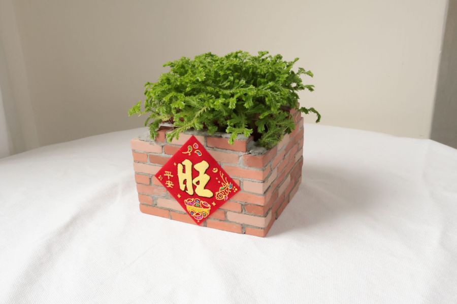復古紅磚盆器 拆到一半的房子B 