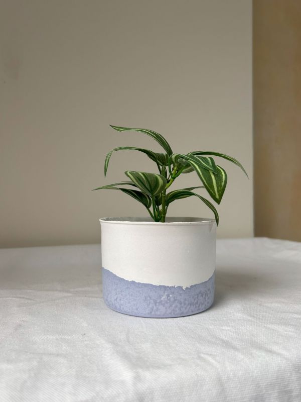 圓形A 手作,水泥,盆器,植栽,多肉,植物,觀葉,塊根,蕨類,盆栽,居家裝飾,水泥盆器