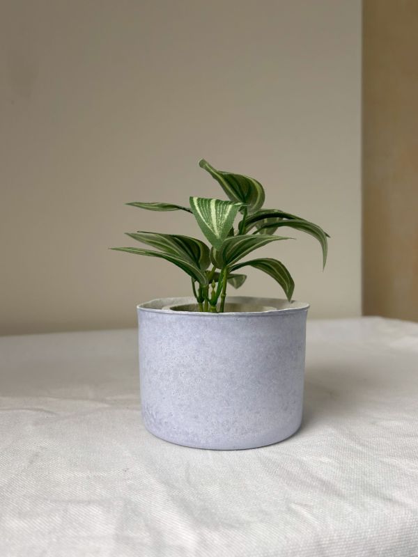 圓形A 手作,水泥,盆器,植栽,多肉,植物,觀葉,塊根,蕨類,盆栽,居家裝飾,水泥盆器