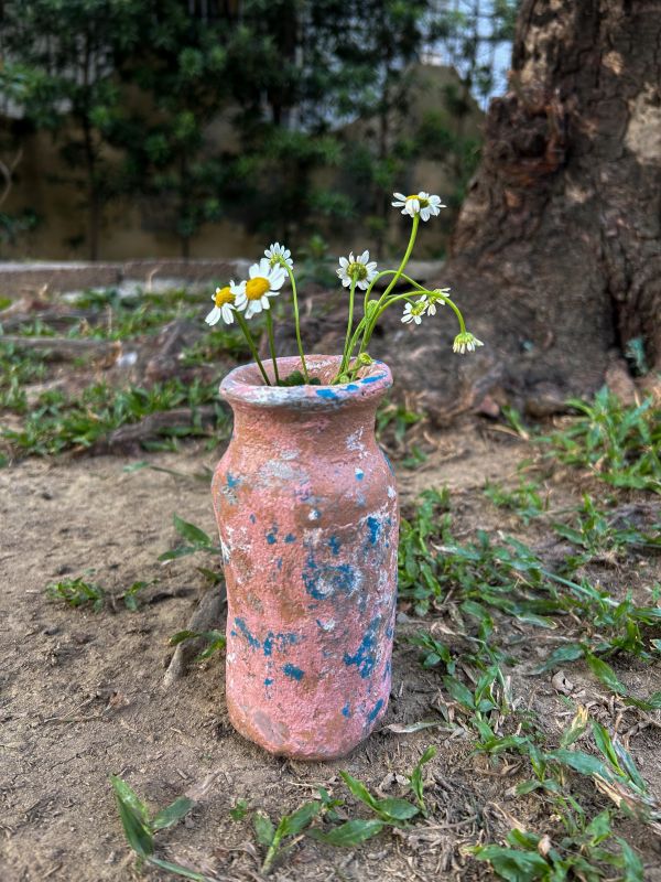 夕陽之海牛奶瓶 水泥,花器,花,鮮花,花瓶
