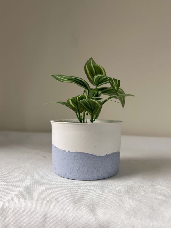 圓形A 手作,水泥,盆器,植栽,多肉,植物,觀葉,塊根,蕨類,盆栽,居家裝飾,水泥盆器