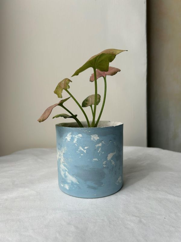 圓形B 手作,水泥,盆器,植栽,多肉,植物,觀葉,塊根,蕨類,盆栽,居家裝飾