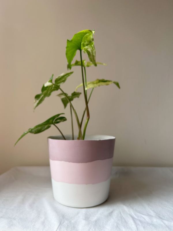 梯形圓 (5吋) 手作,水泥,盆器,植栽,多肉,植物,觀葉,塊根,蕨類,盆栽,居家裝飾