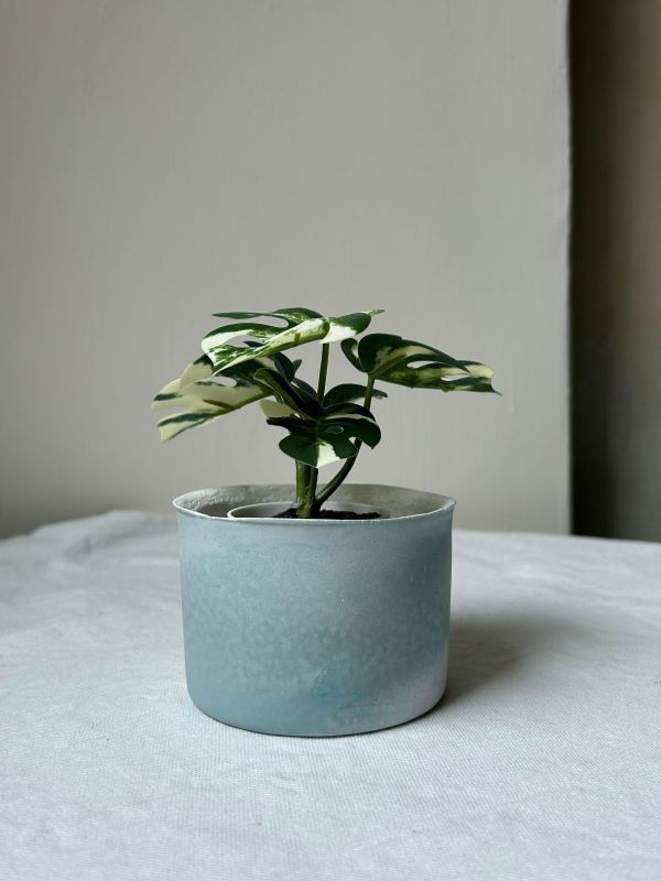 圓形A 手作,水泥,盆器,植栽,多肉,植物,觀葉,塊根,蕨類,盆栽,居家裝飾,水泥盆器