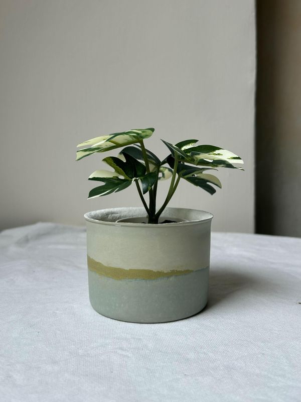 圓形A 手作,水泥,盆器,植栽,多肉,植物,觀葉,塊根,蕨類,盆栽,居家裝飾,水泥盆器