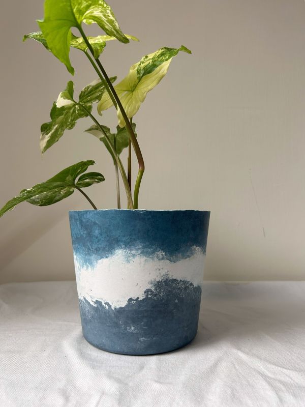 梯形圓 (5吋) 手作,水泥,盆器,植栽,多肉,植物,觀葉,塊根,蕨類,盆栽,居家裝飾