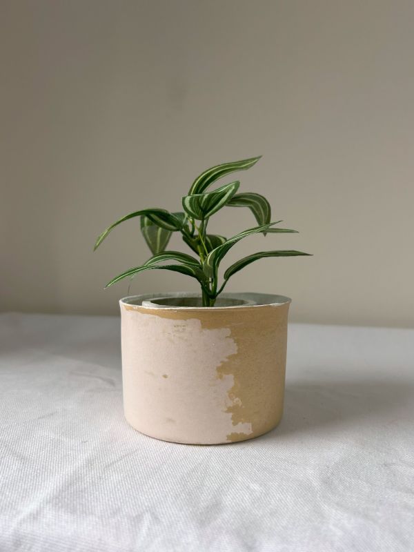 圓形A 手作,水泥,盆器,植栽,多肉,植物,觀葉,塊根,蕨類,盆栽,居家裝飾,水泥盆器