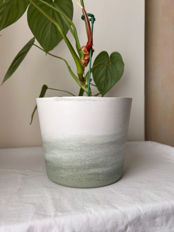 梯形圓 (6吋) 手作,水泥,盆器,植栽,多肉,植物,觀葉,塊根,蕨類,盆栽,居家裝飾