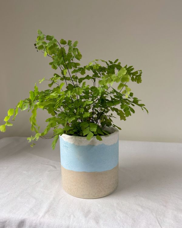 圓形B 手作,水泥,盆器,植栽,多肉,植物,觀葉,塊根,蕨類,盆栽,居家裝飾