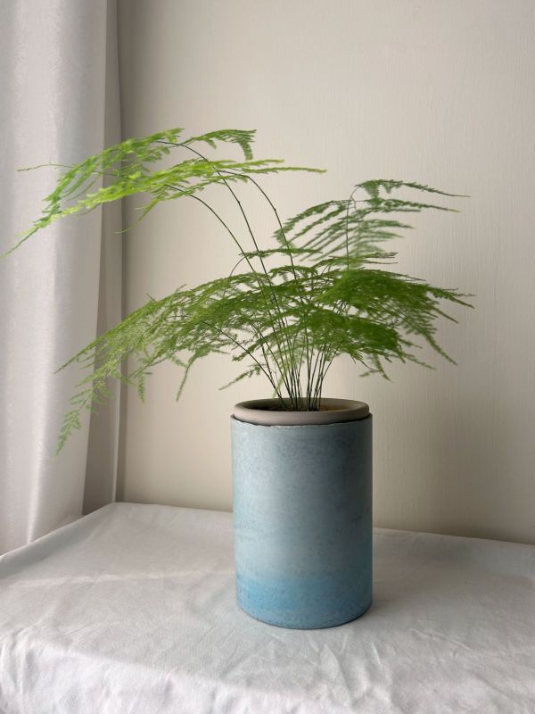 圓形E 手作,水泥,盆器,植栽,多肉,植物,觀葉,塊根,蕨類,盆栽,居家裝飾