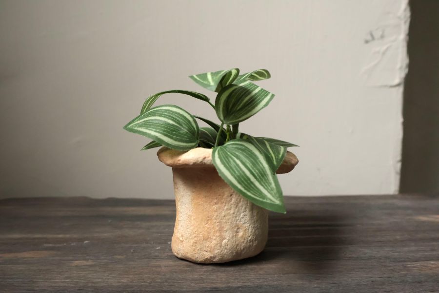 大地系列 斑駁橘黃 手作,水泥,盆器,植栽,多肉,植物,盆栽,居家裝飾,水泥盆器