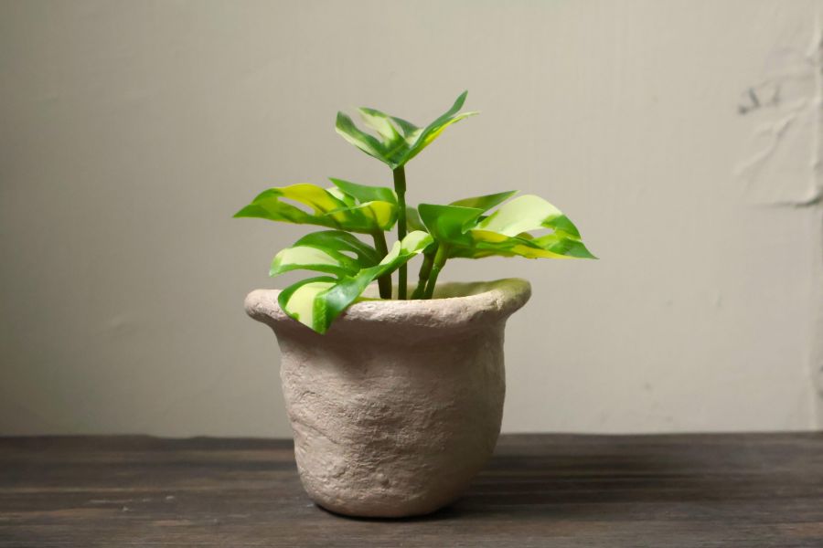 大地系列 肌理米杏 手作,水泥,盆器,植栽,多肉,植物,盆栽,居家裝飾,水泥盆器