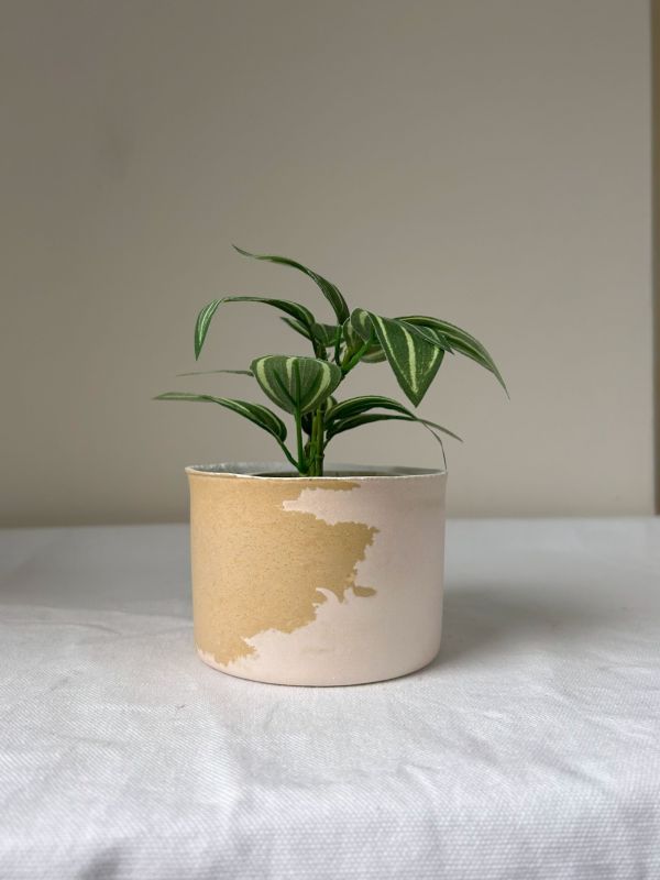 圓形A 手作,水泥,盆器,植栽,多肉,植物,觀葉,塊根,蕨類,盆栽,居家裝飾,水泥盆器