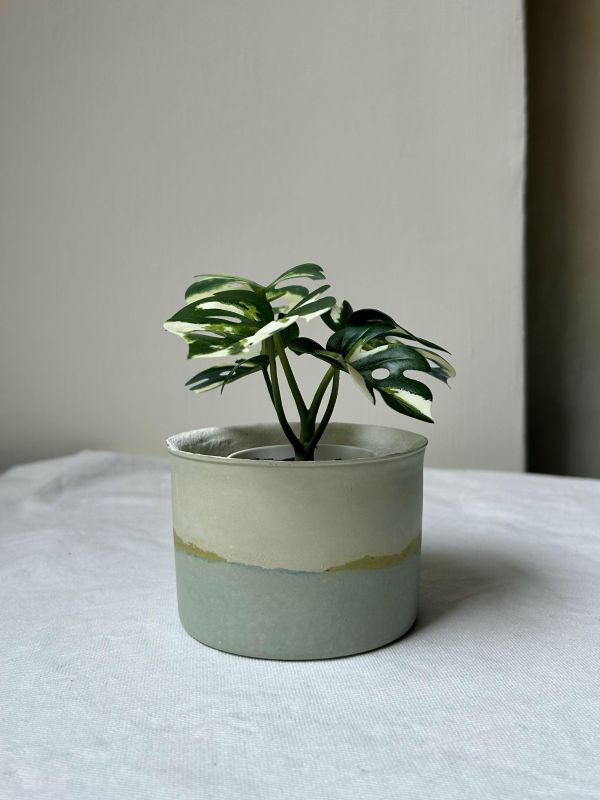 圓形A 手作,水泥,盆器,植栽,多肉,植物,觀葉,塊根,蕨類,盆栽,居家裝飾,水泥盆器