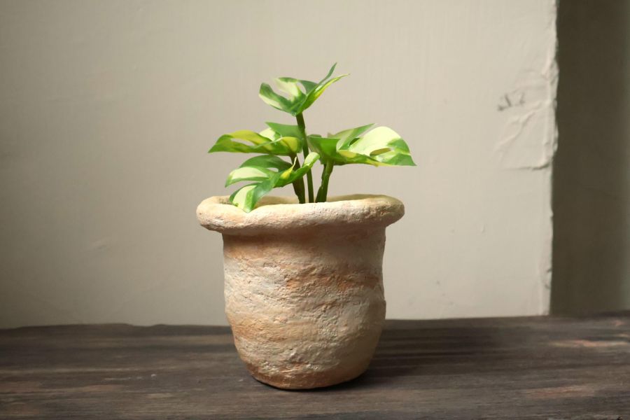 大地系列 斑駁橘黃 手作,水泥,盆器,植栽,多肉,植物,盆栽,居家裝飾,水泥盆器