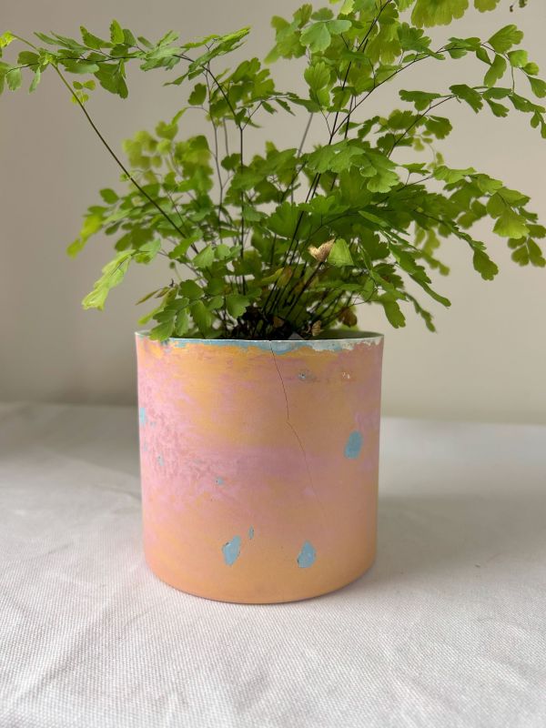 圓形B 手作,水泥,盆器,植栽,多肉,植物,觀葉,塊根,蕨類,盆栽,居家裝飾