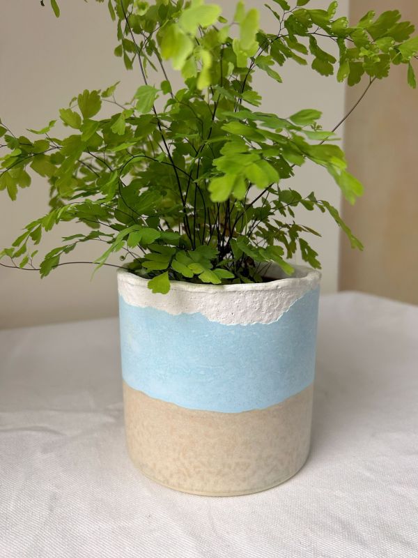 圓形B 手作,水泥,盆器,植栽,多肉,植物,觀葉,塊根,蕨類,盆栽,居家裝飾