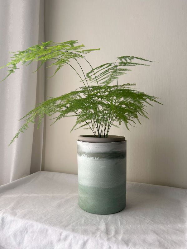 圓形E 手作,水泥,盆器,植栽,多肉,植物,觀葉,塊根,蕨類,盆栽,居家裝飾