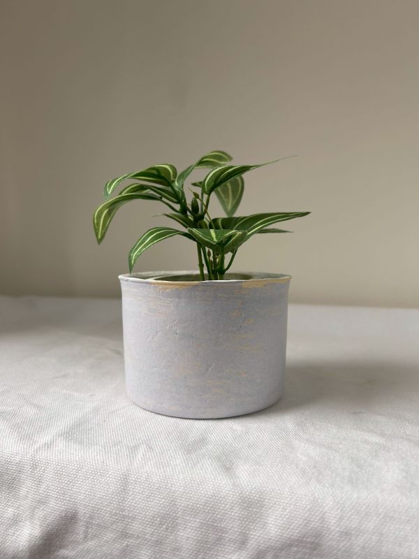 圓形A 手作,水泥,盆器,植栽,多肉,植物,觀葉,塊根,蕨類,盆栽,居家裝飾,水泥盆器