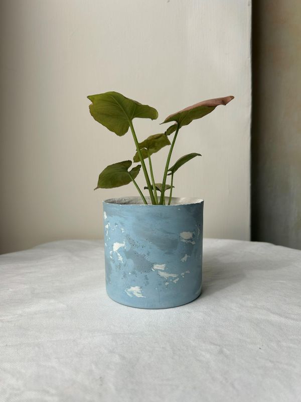 圓形B 手作,水泥,盆器,植栽,多肉,植物,觀葉,塊根,蕨類,盆栽,居家裝飾