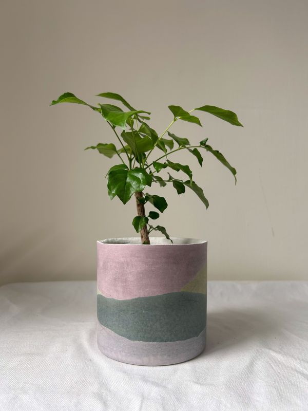圓形B 手作,水泥,盆器,植栽,多肉,植物,觀葉,塊根,蕨類,盆栽,居家裝飾