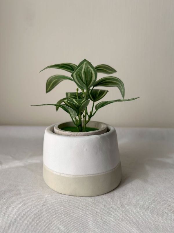 布丁盆 (3吋) 手作,水泥,盆器,植栽,多肉,植物,盆栽,居家裝飾,水泥盆器