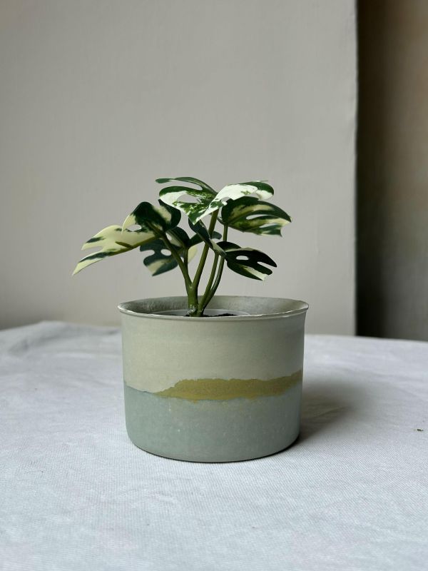 圓形A 手作,水泥,盆器,植栽,多肉,植物,觀葉,塊根,蕨類,盆栽,居家裝飾,水泥盆器