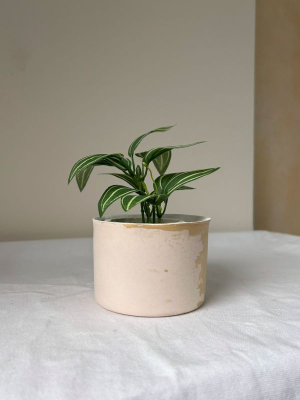 圓形A 手作,水泥,盆器,植栽,多肉,植物,觀葉,塊根,蕨類,盆栽,居家裝飾,水泥盆器