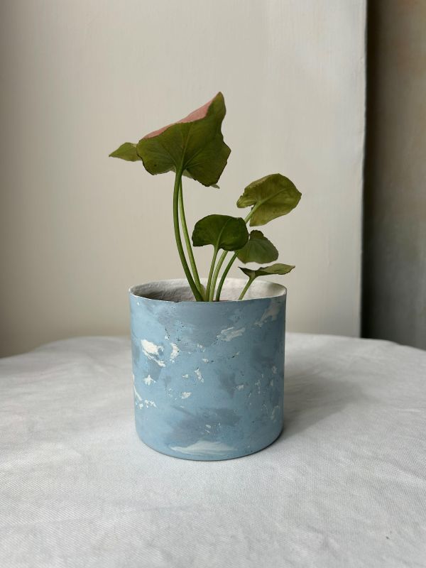 圓形B 手作,水泥,盆器,植栽,多肉,植物,觀葉,塊根,蕨類,盆栽,居家裝飾