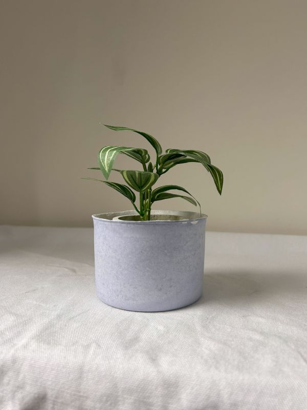 圓形A 手作,水泥,盆器,植栽,多肉,植物,觀葉,塊根,蕨類,盆栽,居家裝飾,水泥盆器