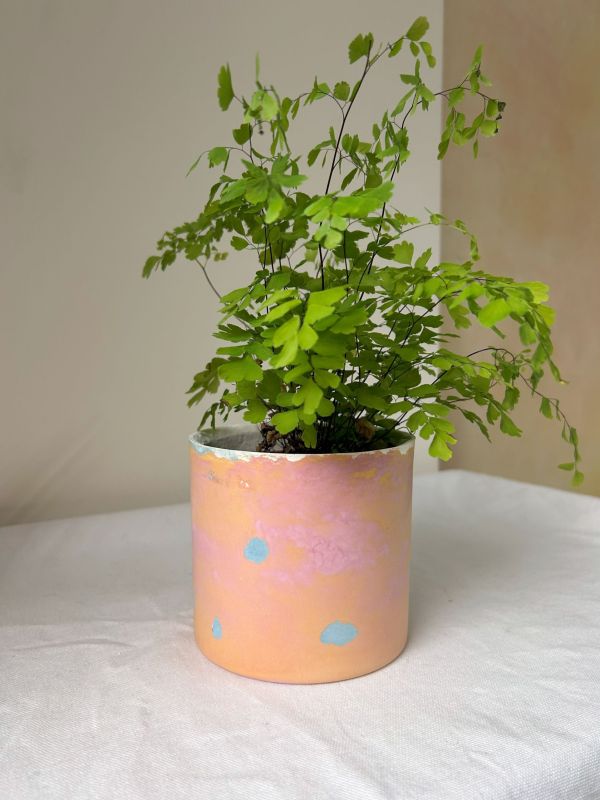 圓形B 手作,水泥,盆器,植栽,多肉,植物,觀葉,塊根,蕨類,盆栽,居家裝飾