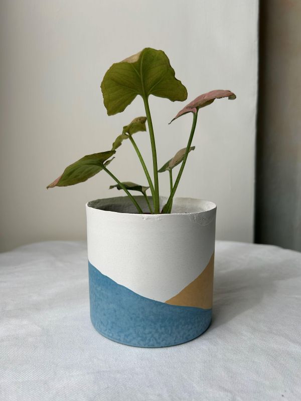 圓形B 手作,水泥,盆器,植栽,多肉,植物,觀葉,塊根,蕨類,盆栽,居家裝飾