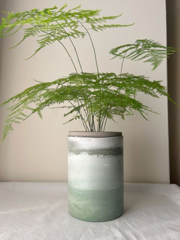 圓形E 手作,水泥,盆器,植栽,多肉,植物,觀葉,塊根,蕨類,盆栽,居家裝飾