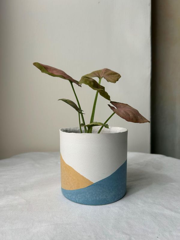 圓形B 手作,水泥,盆器,植栽,多肉,植物,觀葉,塊根,蕨類,盆栽,居家裝飾