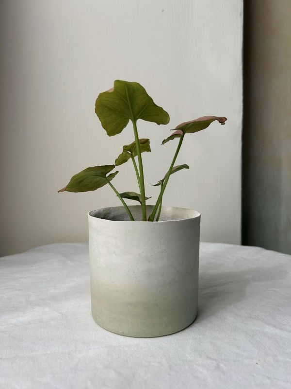 圓形B 手作,水泥,盆器,植栽,多肉,植物,觀葉,塊根,蕨類,盆栽,居家裝飾