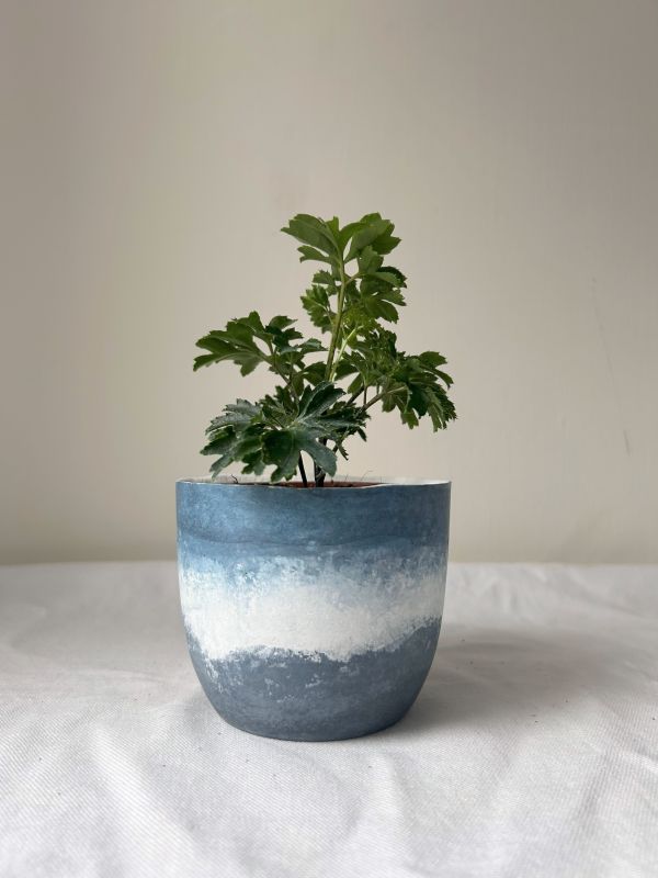 梯形圓 (3吋) 手作,水泥,盆器,植栽,多肉,植物,觀葉,塊根,蕨類,盆栽,居家裝飾
