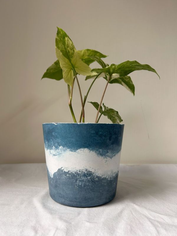 梯形圓 (5吋) 手作,水泥,盆器,植栽,多肉,植物,觀葉,塊根,蕨類,盆栽,居家裝飾