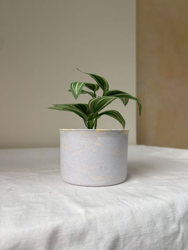 圓形A 手作,水泥,盆器,植栽,多肉,植物,觀葉,塊根,蕨類,盆栽,居家裝飾,水泥盆器