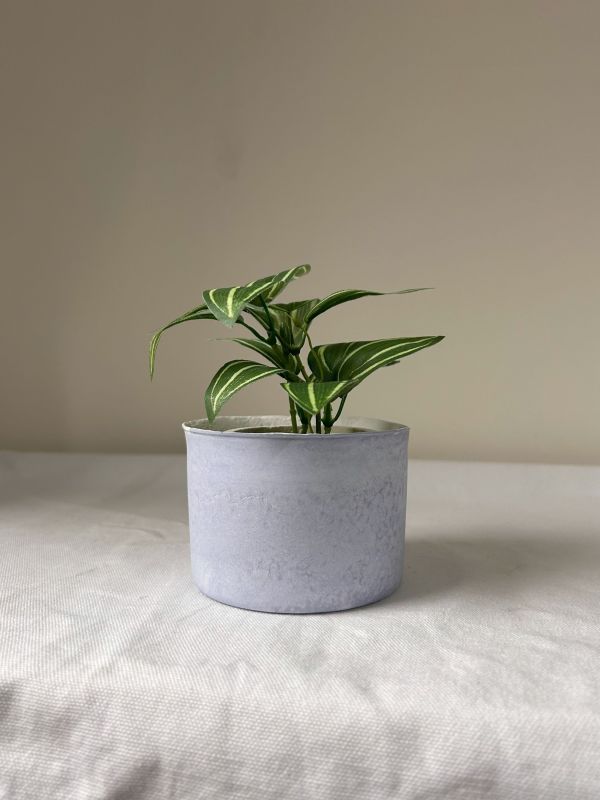 圓形A 手作,水泥,盆器,植栽,多肉,植物,觀葉,塊根,蕨類,盆栽,居家裝飾,水泥盆器