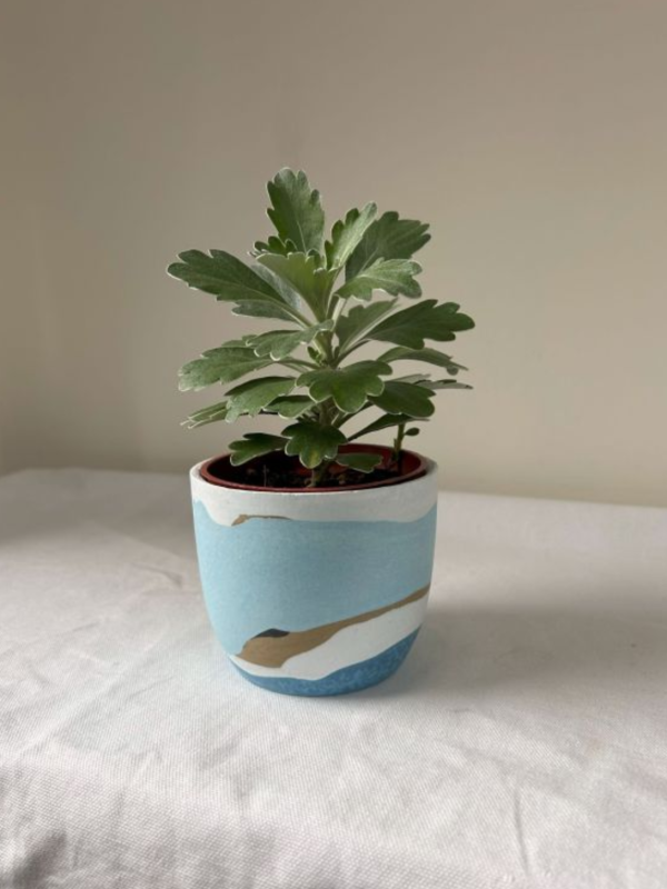 梯形圓 (3吋) 手作,水泥,盆器,植栽,多肉,植物,觀葉,塊根,蕨類,盆栽,居家裝飾