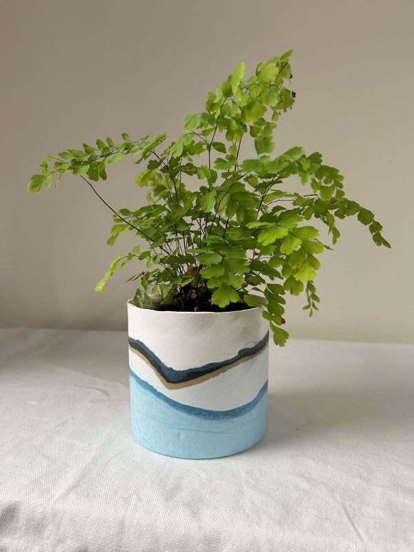 圓形B 手作,水泥,盆器,植栽,多肉,植物,觀葉,塊根,蕨類,盆栽,居家裝飾