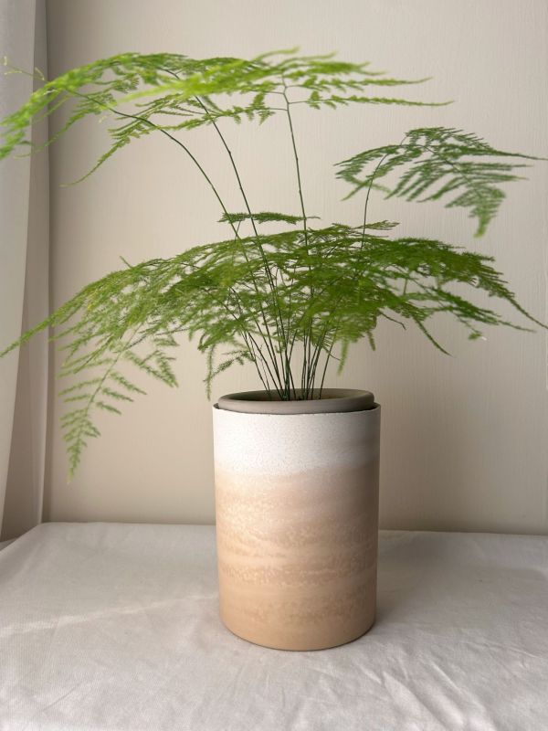 圓形E 手作,水泥,盆器,植栽,多肉,植物,觀葉,塊根,蕨類,盆栽,居家裝飾