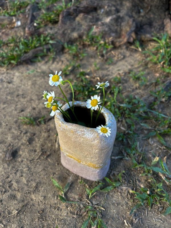 日界晨土方瓶 水泥,花器,花,鮮花,花瓶
